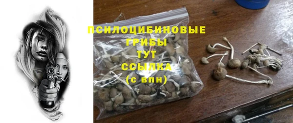 амф Михайловка