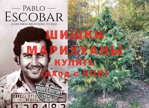 амф Михайловка